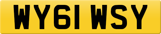 WY61WSY